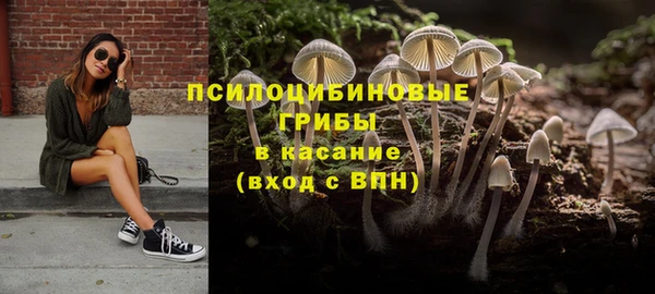 трава Баксан