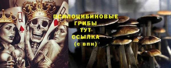 трава Баксан