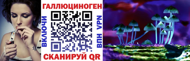 Псилоцибиновые грибы GOLDEN TEACHER  это наркотические препараты  Иланский 